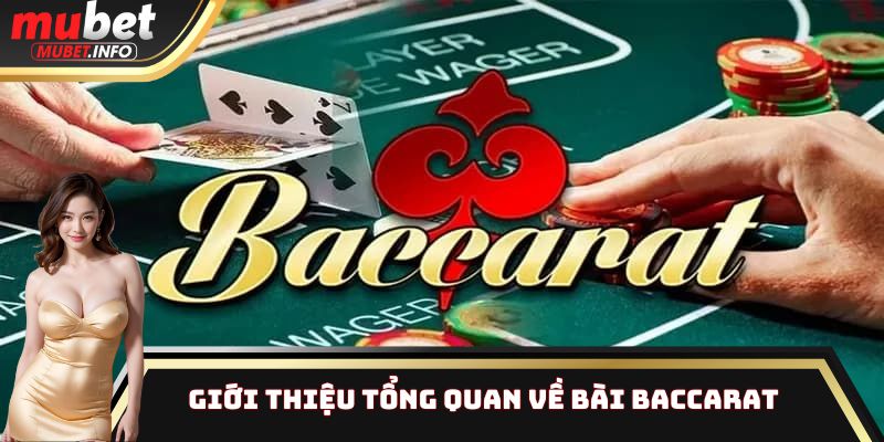 Baccarat - Siêu Phẩm Game Bài Được Yêu Thích Hàng Đầu 2025 2 Tổng quan một vài thông tin liên quan đến trò chơi đổi thưởng Baccarat
