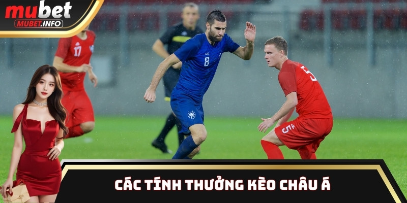 Kèo Châu Á: Cách Chơi Đơn Giản Và Dễ Hiểu Cho Game Thủ 3 Các tính thưởng kèo Châu Á