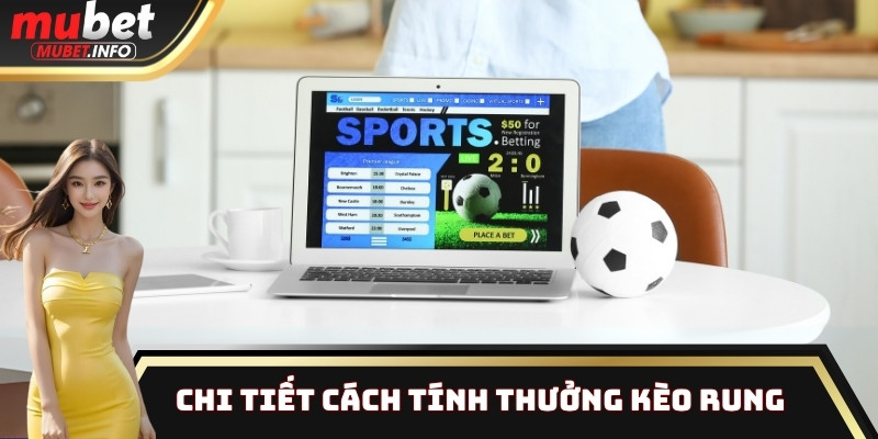 Kèo Rung: Luật Chơi Cơ Bản Và Hình Thức Đặt Cược Phổ Biến 4 Chi tiết cách tính thưởng kèo rung