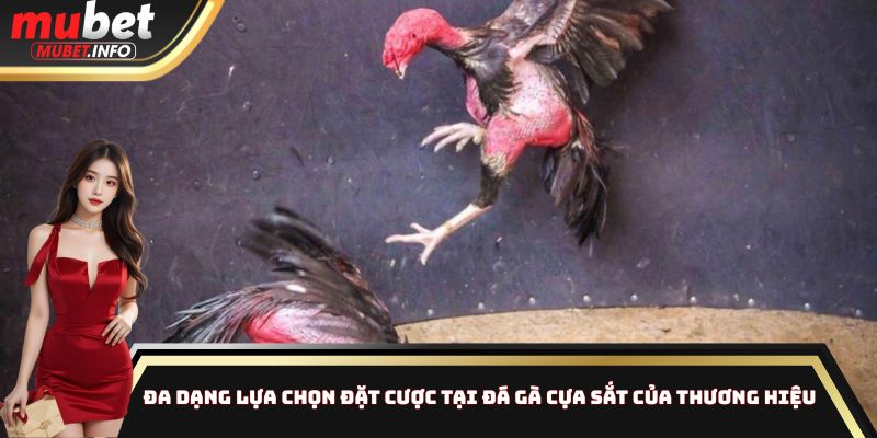 Đá Gà Cựa Sắt Mubet - Điểm Khác Biệt Của Loại Hình Hấp Dẫn 4 Đa dạng lựa chọn đặt cược tại đá gà cựa sắt của thương hiệu