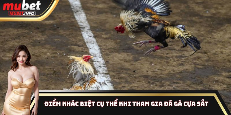 Đá Gà Cựa Sắt Mubet - Điểm Khác Biệt Của Loại Hình Hấp Dẫn 2 Điểm khác biệt cụ thể khi tham gia đá gà cựa sắt