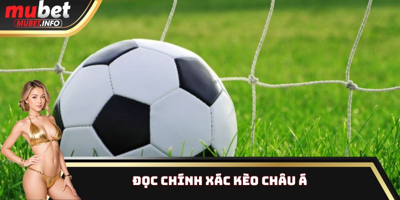 Cách đọc kèo bóng đá Mubet chi tiết nhất cho anh em tân thủ 2 Đọc chính xác kèo Châu Á