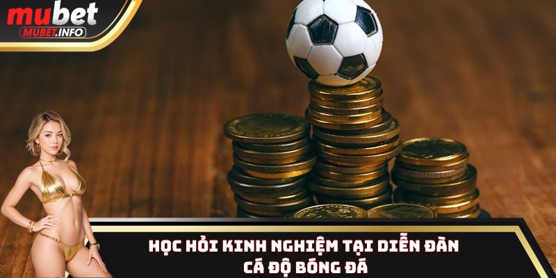 Học hỏi kinh nghiệm tại diễn đàn cá độ bóng đá