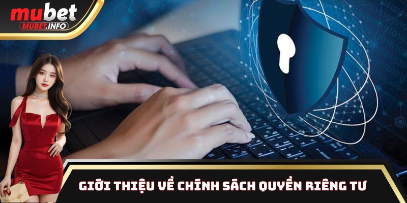 Quyền Riêng Tư Mubet - Bảo Mật Thông Tin Hội Viên Toàn Diện 1 Khám phá đôi nét về chính sách quyền riêng tư tại trang web Mubet