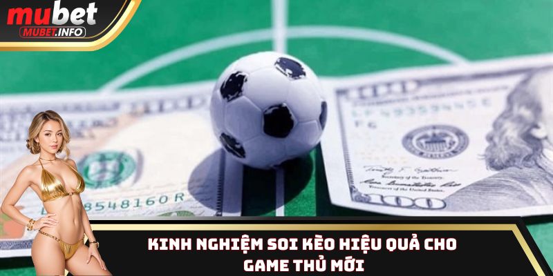 Kinh nghiệm soi kèo hiệu quả cho game thủ mới