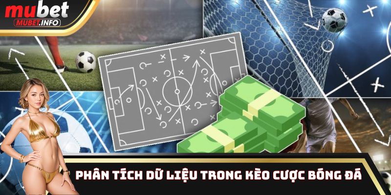 Phân tích dữ liệu trong kèo cược bóng đá
