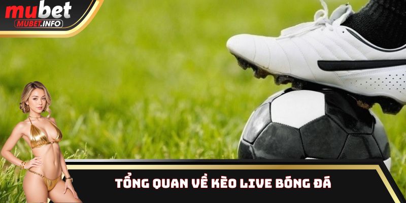 Tổng quan về kèo live bóng đá