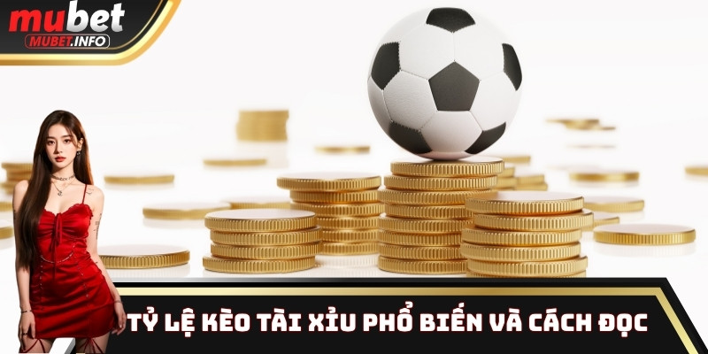 Bí Quyết Soi Kèo Tài Xỉu Thắng Lớn Từ Cao Thủ Top 1 2 Tỷ lệ kèo tài xỉu phổ biến và cách đọc