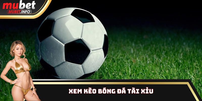 Cách đọc kèo bóng đá Mubet chi tiết nhất cho anh em tân thủ 3 Xem kèo bóng đá tài xỉu