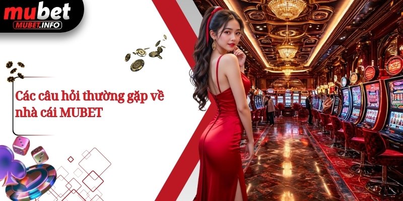 MUBET 2026 – Nhà Cái Cá Cược Đổi Thướng - Đón Xuân Rộn Ràng 7 Các câu hỏi thường gặp về nhà cái MUBET